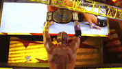 wwe sports wwe wrestling 2009 GIF