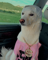 Korea Eminem GIF