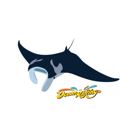Reef Manta Ray Stickers - Find & Share on GIPHY