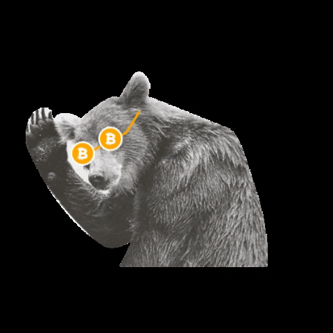 labitcoineta bear bitcoin oso bitcoineta GIF