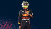 Red Bull Sport GIF by Oracle Red Bull Racing