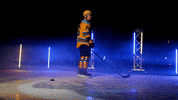Hockey GIF by Toledo Walleye