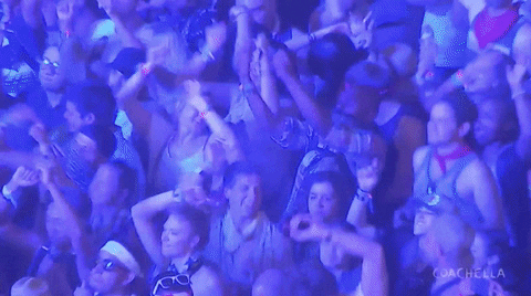 Major Lazer GIF by Coachella