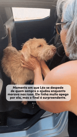 cuteanimalland giphyupload GIF