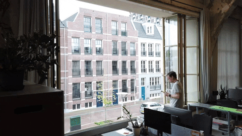 frankmeeuwsen giphyupload GIF