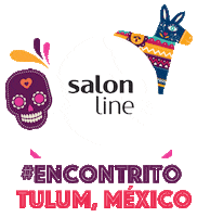 mexico pinata Sticker by Salon Line