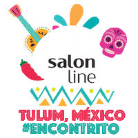 mexico mexicana Sticker by Salon Line