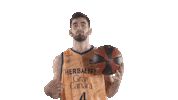 Liga Endesa Basketball Sticker by ACB