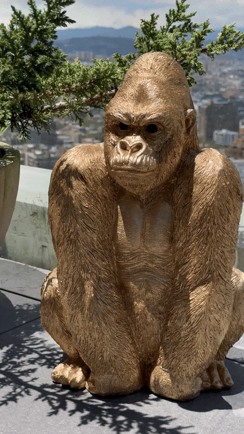 angiebonilla658093ecde414a79ae74fc2651897176 giphyupload GIF