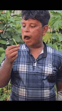Malayalam GIF