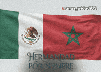 Mexico Morocco GIF