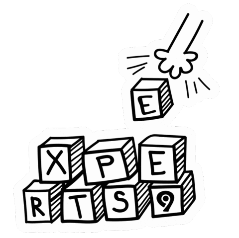 Developer Programiranje Sticker by Levi9 Serbia