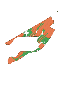 Racing F1 Sticker