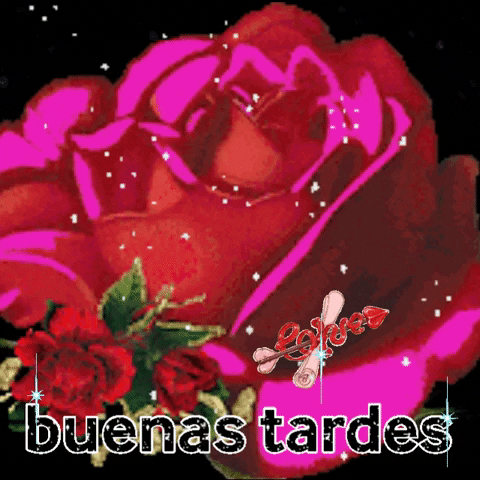 anirdnajelaalleb giphygifmaker giphyattribution GIF