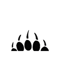 ursusadventures track ursus followtheursus ursusadventures Sticker