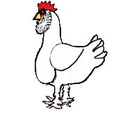 Chicken Sticker