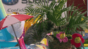 kitten bowl countdown to valentine&#39;s day GIF by Hallmark Channel