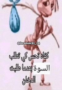 Algeria Dz GIF