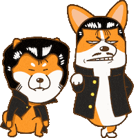 Corgi Shiba Sticker