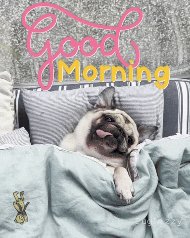 Tired Good Morning GIF