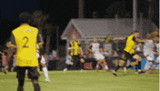 Black And Yellow Soccer GIF by Charleston Battery
