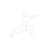 Artimistka kungfu martialarts shaolin wushu Sticker