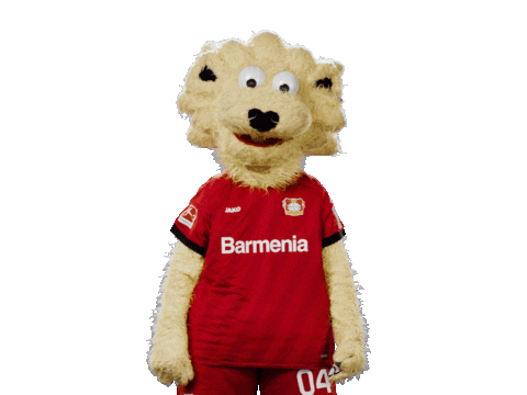 Bayer 04 Win Sticker by Bayer 04 Leverkusen