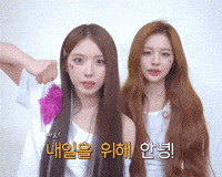 Taiwan Taipei GIF