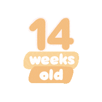Baby Age Sticker by westeggpress
