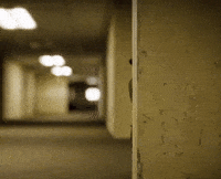 Stock Market Crash Bobo The Bear GIF by Bear Market Memes