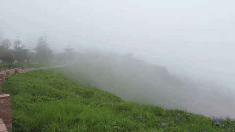 arturogoga giphygifmaker GIF