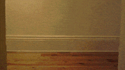 Sunglasses Deal With It GIF by Internet Cat Video Festival