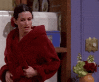 friends friends season 6 friends tv courteney cox GIF