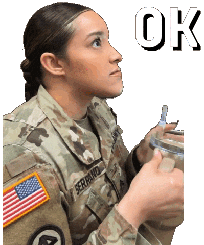 Stanley Cup Ok Sticker by Only_Reilly