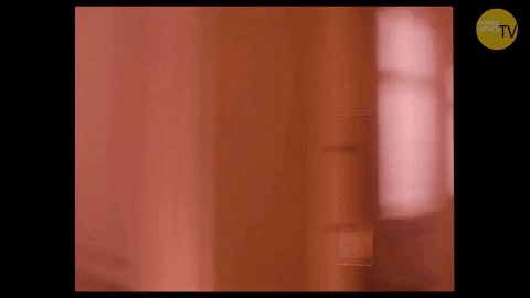 Wes Anderson GIF by Coral Garvey