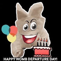 Happy Birthday Celebration GIF