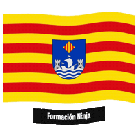 Comunidad Valenciana Flag Sticker by Formación Ninja
