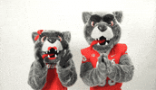 New Mexico Mascots GIF by UNM