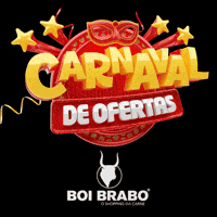 Carnaval GIF by Boi Brabo
