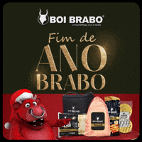 Fim De Ano GIF by Boi Brabo