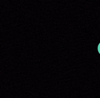 Top Bottom GIF by Pretty Dudes