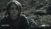 Hbo GIF by Game of Thrones
