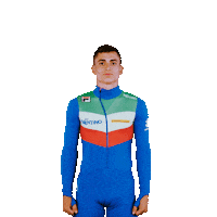 federazioneghiaccio ice wintersport sportinvernali speedskating Sticker