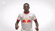 Celebration Win GIF by FC Red Bull Salzburg
