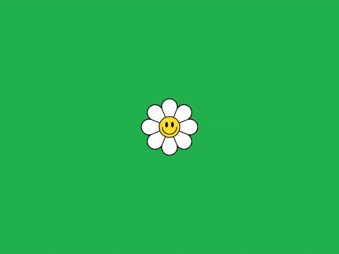 mybangla24 giphygifmaker giphyattribution flower bd news GIF