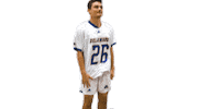 Lacrosse Bluehens Sticker by Delaware Blue Hens