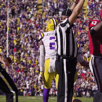 College Sports Sport GIF by LSU Tigers