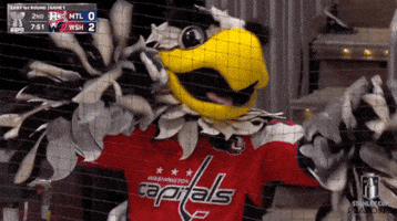 Happy Stanley Cup Playoffs GIF by NHL