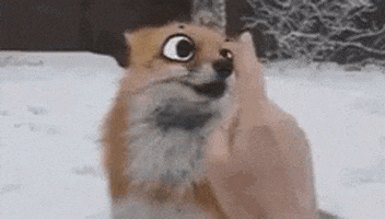 CryptpFox giphyupload GIF