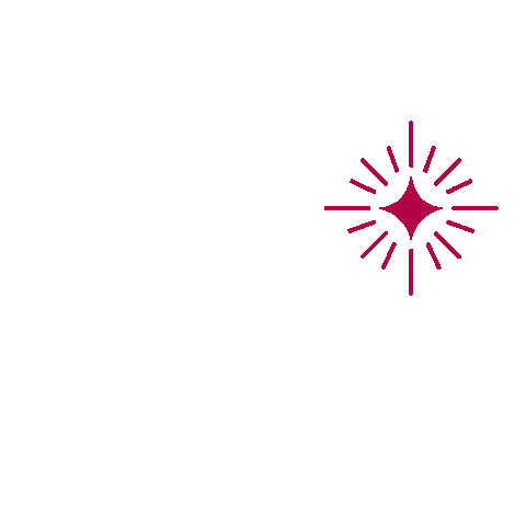 Spark Kivilcim Sticker by Kıvılcım Derneği